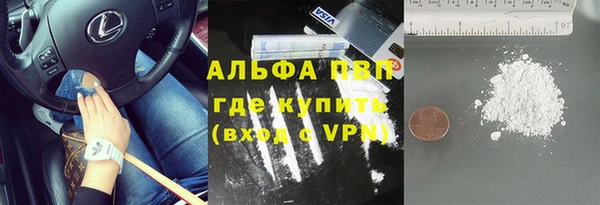 apvp Алзамай