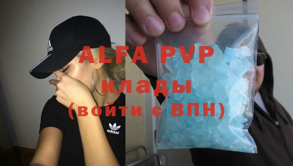 apvp Алзамай
