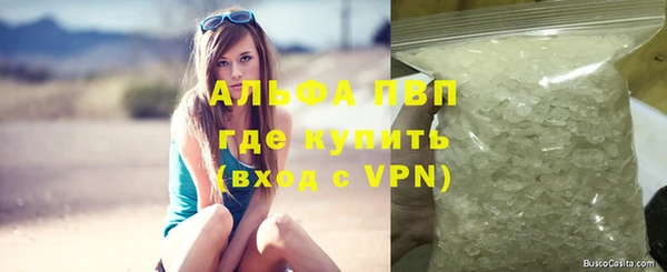 apvp Алзамай