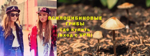 apvp Алзамай