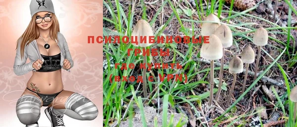 spice Алексеевка