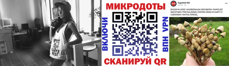 Галлюциногенные грибы мицелий  mega tor  Чехов  купить  цена 