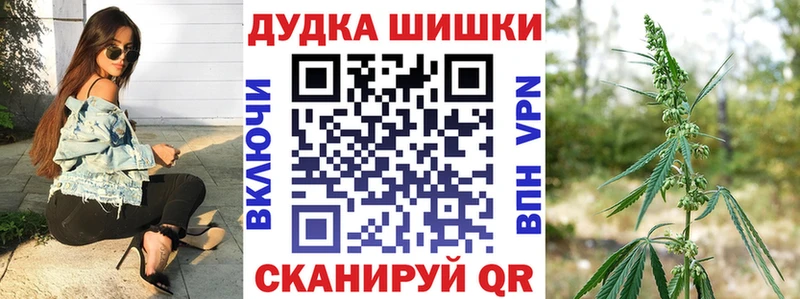 купить наркоту  mega зеркало  Марихуана сатива  Чехов 